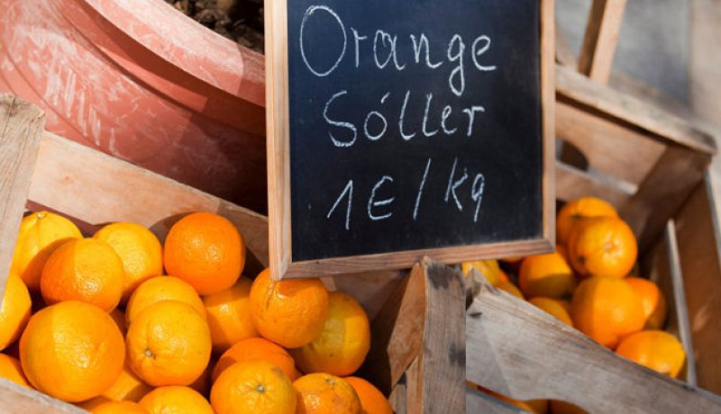 spain group holidays